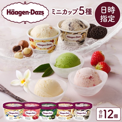 【着日指定できます】 ハーゲンダッツ『定番ミニカップ12個セット』アイスクリーム_H0016-111