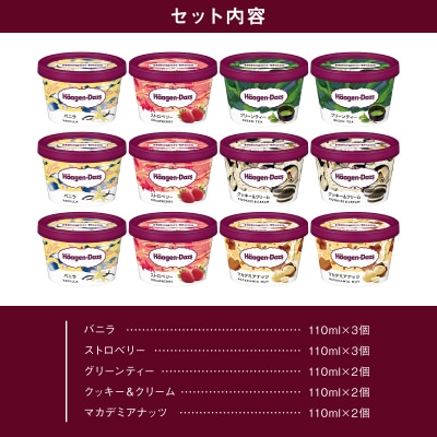 【着日指定できます】 ハーゲンダッツ『定番ミニカップ12個セット』アイスクリーム_H0016-111