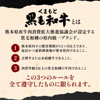 くまもと黒毛和牛 赤身 スライス 合計1.2kg 300g×4 黒毛和牛_067-6695-A