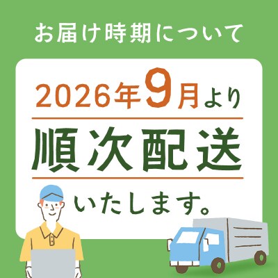 【北海道士幌町】生産者還元用ポテトチップス2箱セット(塩味)【N01-02】
