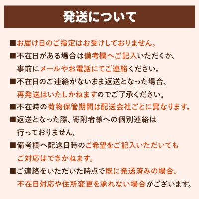 【北海道士幌町】生産者還元用ポテトチップス2箱セット(塩味)【N01-02】