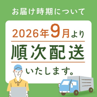 【北海道士幌町】生産者還元用ポテトチップス2箱セット(のり塩味)【N01-04】