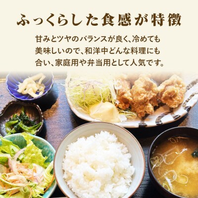 令和7年産 宮城県産天女ひとめぼれ 白米 10kg(5kg×2)|21_trc-011001
