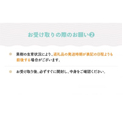 大玉 すいか しまむそう 4L×1玉 フルーツ スイカ 2026年産 令和8年産 山形県産