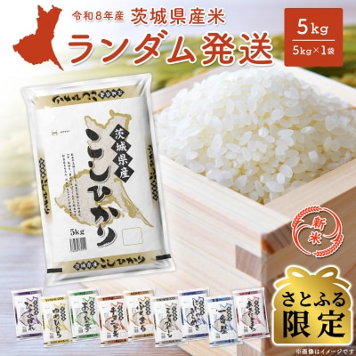 【さとふる限定】◎新米◎ 白米 ランダム 5kg 米 令和8年産 米 K2464