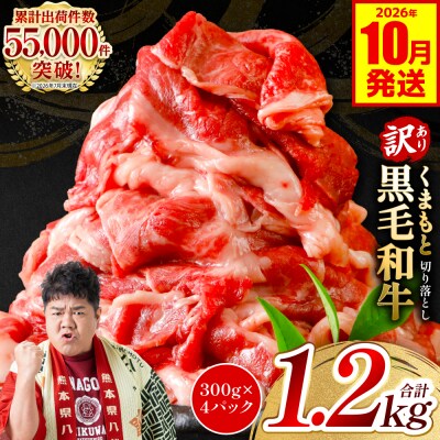 【訳あり】くまもと黒毛和牛 切り落とし 1.2kg 2026年10月発送_067-6066-10-B