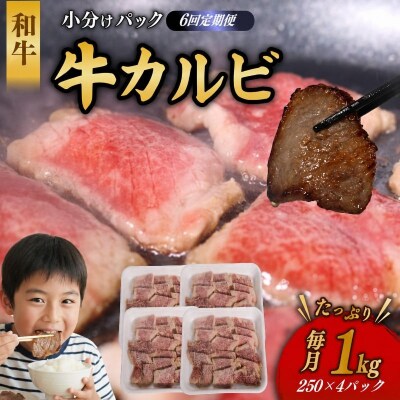 【6回定期便】 和牛 カルビ 1kg 牛肉 焼肉