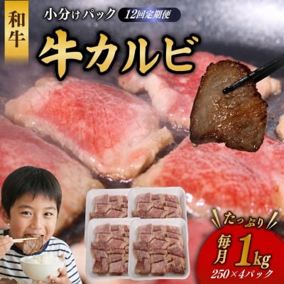 【12回定期便】 和牛 カルビ 1kg 牛肉 焼肉