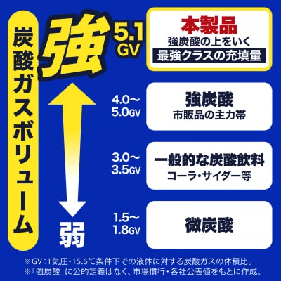 【全12回定期便】強炭酸水 1.5L×8本  糸島市/スターナイン 炭酸水  [ARM008]