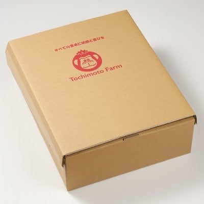 先行受付【季節限定】産地直送!杤本農園 フルーツトマト 3kg入り【45-7】