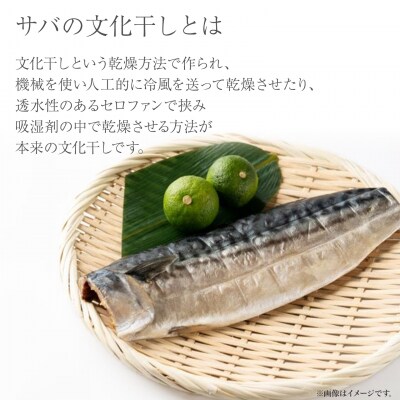 【茨城県共通返礼品/神栖市】大トロ さば 文化干し 1枚真空×6パック サバ 鯖  真空パック 冷凍