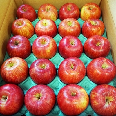 【2026年発送】山形のりんご(シナノスイート)約5kg_H076(R8)-2