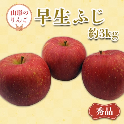【2026年発送】「秀品」山形のりんご(早生ふじ)約3kg_H165(R8)-2