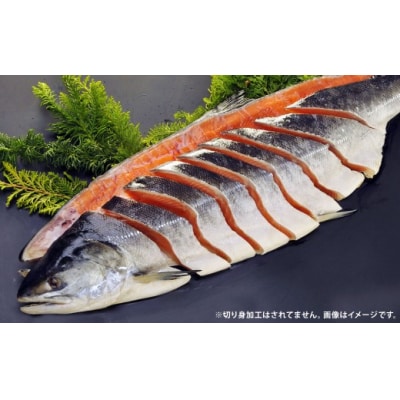 【 7日程度で発送 】 定置網漁法 【 道東産 】 船上活〆トキシラズ 2枚卸姿身 2.5kg