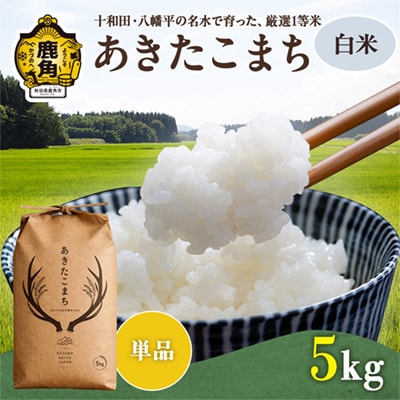 あきたこまち 白米 5kg【トライズ】