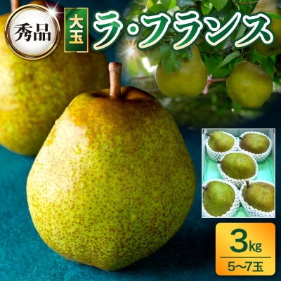 西洋梨(ラフランス)3kg　大玉　0017-2633