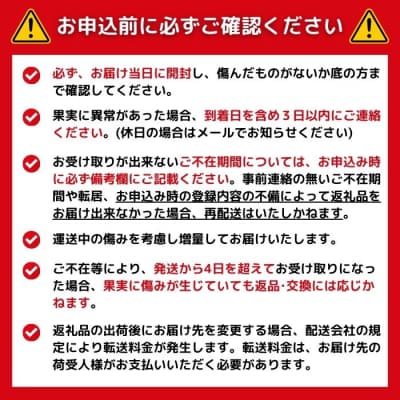 【先行予約】訳あり 愛媛みかん 3kg 発送時期 2026年11月以降 清家ばんかんビレッジ