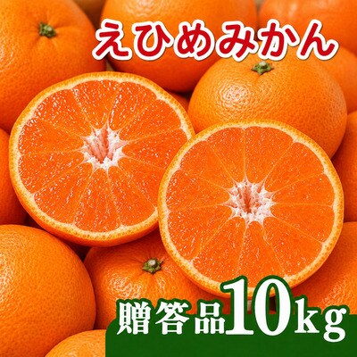【先行予約】贈答用 愛媛みかん 10kg 発送時期 2026年11月以降 清家ばんかんビレッジ