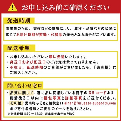 【先行予約】贈答用 愛媛みかん 10kg 発送時期 2026年11月以降 清家ばんかんビレッジ