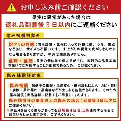 【先行予約】訳あり 愛媛みかん 小玉 3kg 発送時期 2026年11月以降 清家ばんかんビレッジ