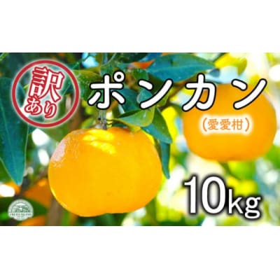 【先行受付】【2027年1月10日～】訳あり 愛愛柑 10kg ポンカン マルエム直販