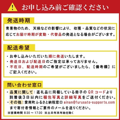 【先行予約】贈答用 愛媛みかん 3kg 発送時期 2026年11月以降 清家ばんかんビレッジ