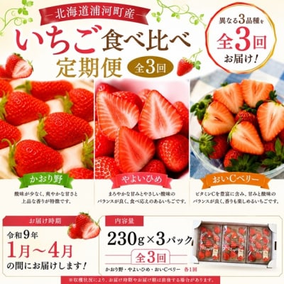 【令和9年1月～4月発送!】北海道浦河町産いちご食べ比べ定期便(全3回)[13-1629]