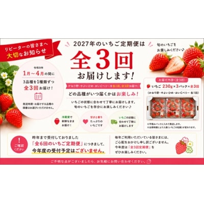 【令和9年1月～4月発送!】北海道浦河町産いちご食べ比べ定期便(全3回)[13-1629]