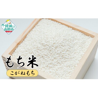 陸前高田市産 もち米 2kg 品種:こがねもち マルキヨファーム 餅 おはぎ お雑煮