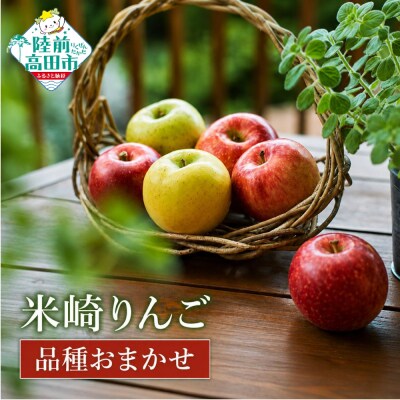 旬のりんご 品種おまかせ 約5kg りんご 果物 フルーツ 林檎 甘い ジューシー マルキヨファーム
