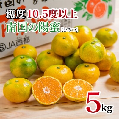 極早生みかん「南国の陽蜜」5kg 宮崎県西都産【先行受付】[1868]
