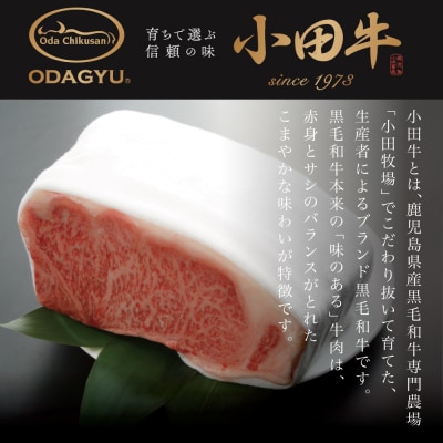 【プレミアムブランド】鹿児島県産黒毛和牛「小田牛」 リブステーキ 計400g(約200g×2枚)