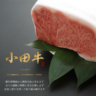 【プレミアムブランド】鹿児島県産黒毛和牛「小田牛」ビーフカレー 8個(180g×8)
