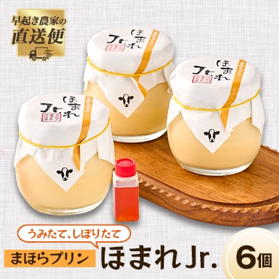 うみたて、しぼりたてまほらプリン ほまれJr