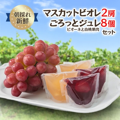 【2025年度発送分】朝採れ新鮮マスカットビオレ2房&ピオーネと白桃果肉ごろっとジュレセット