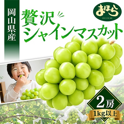 【2026年度発送分】早起き農家の直送便　お土産シャインマスカット2房