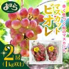 【2025年度発送分】早起き農家の直送便　お土産マスカットビオレ2房