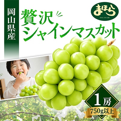 【2026年度発送分】早起き農家の直送便　上出来シャインマスカット1房