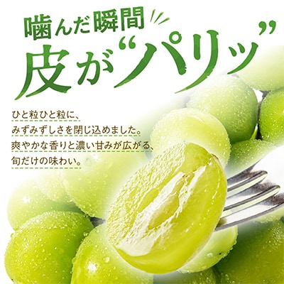 【2026年度発送分】早起き農家の直送便　上出来シャインマスカット1房