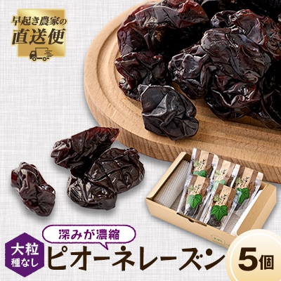 ピオーネレーズン 小袋5個セット