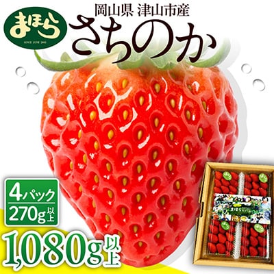 2026年1月より順次発送】朝採れ新鮮まほらのいちご(さちのか)4パック