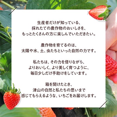 2026年1月より順次発送】朝採れ新鮮まほらのいちご(さちのか)4パック