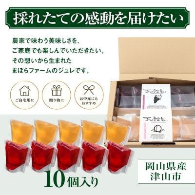 【2026年8月より順次発送】そのままフルーツまほらジュレ(ピオーネ5個・白桃5個)
