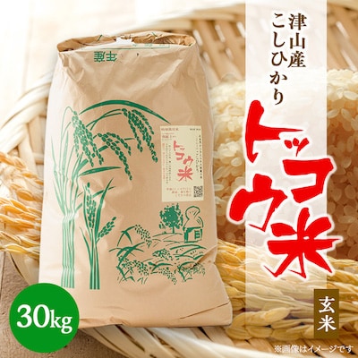 【突鉱土育ち】津山産トッコウ米(こしひかり)玄米30kg