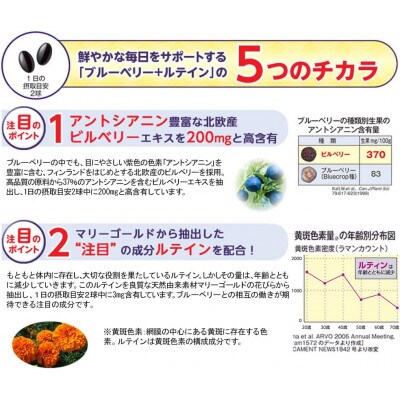 グルコサミン&コンドロイチン、ブルーベリー+ルテイン(20955)