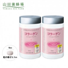 コラーゲン×2本(20988)