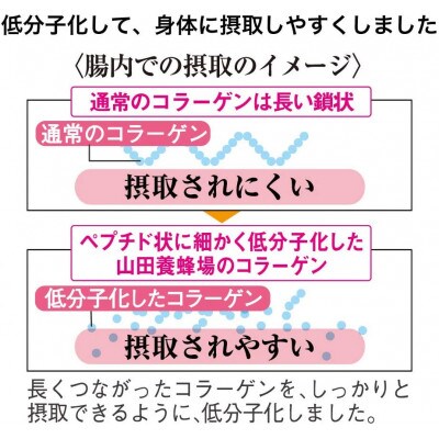 コラーゲン×2本(20988)