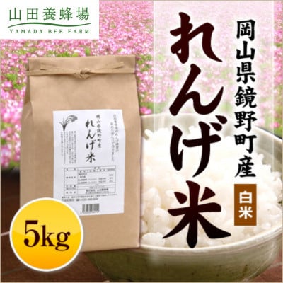 岡山県産　れんげ米(5kg入)(26552)