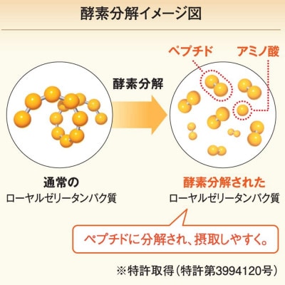 酵素分解ローヤルゼリーキング (560)