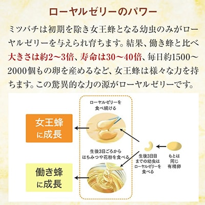 酵素分解ローヤルゼリー王乳の華 (991)